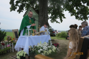 IMG_4247