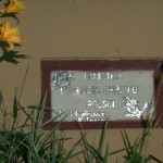 Pstrągowa Betkówki